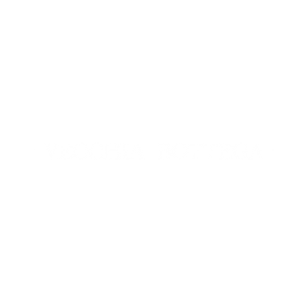 vecchia bottega
